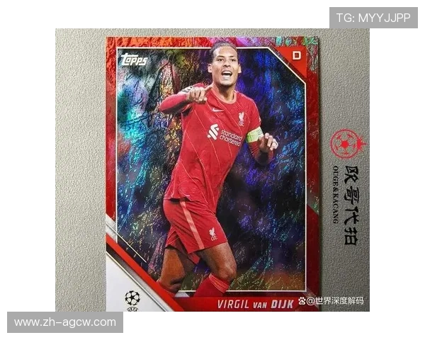 范迪克被评为英超最佳球员的原因及数据分析