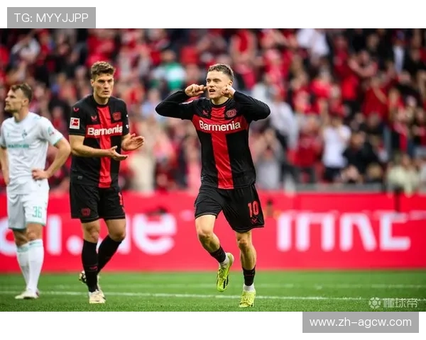 德甲中的TSG是哪支球队及其历史简介