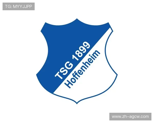 蓝色系德甲队徽赏析 哪队最有视觉冲击力