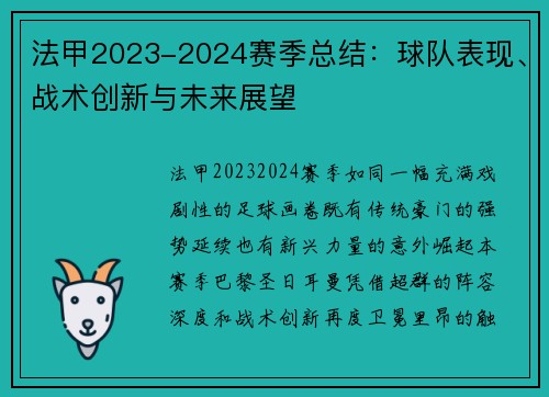 法甲2023-2024赛季总结：球队表现、战术创新与未来展望